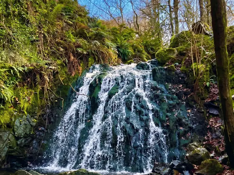 A waterfall in Lake District woodland